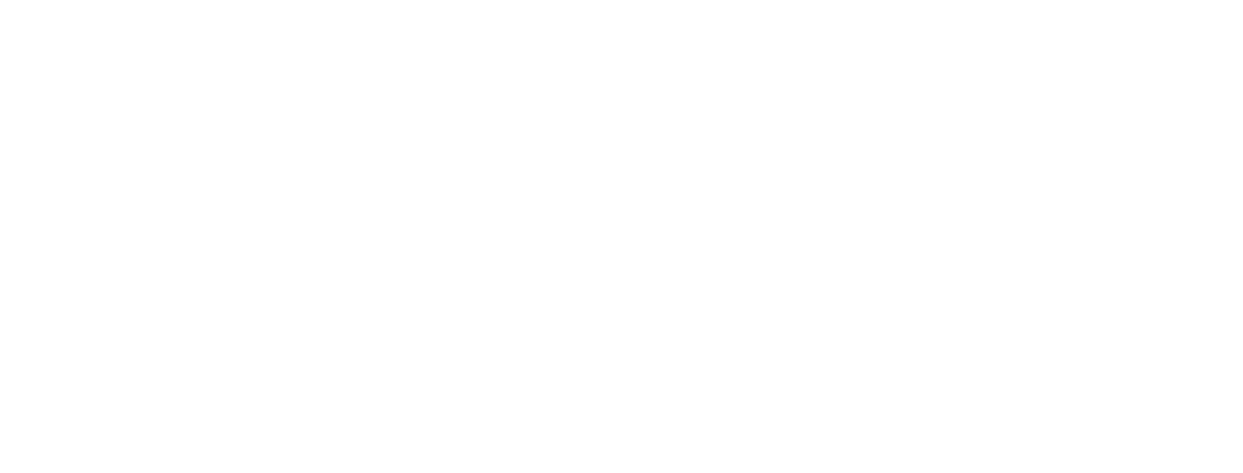 Simon Wolf Band